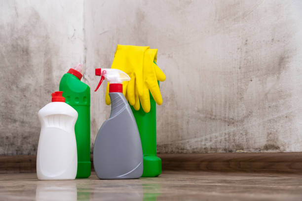 Webster, FL Mold Removal Company